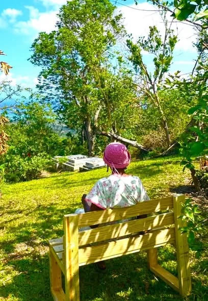 A handmade wooden bench overlooking the Caribbean Sea